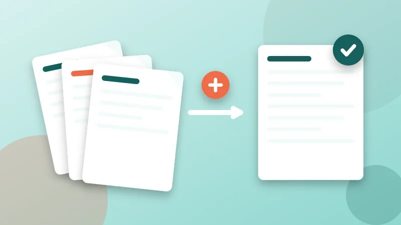 Pay stubs, statements and ID combined into one application PDF